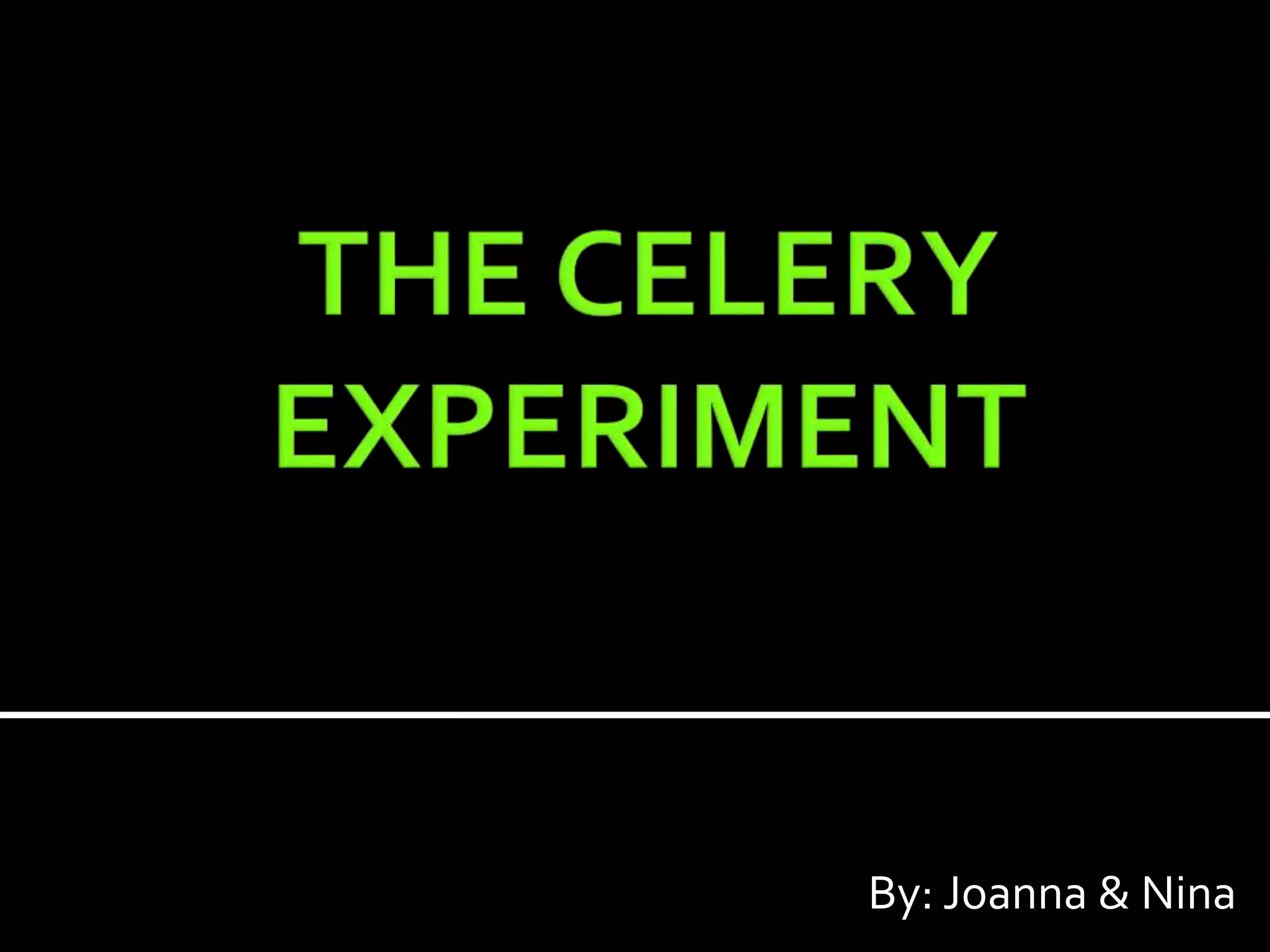 The celery experiment.html (1) PPT
