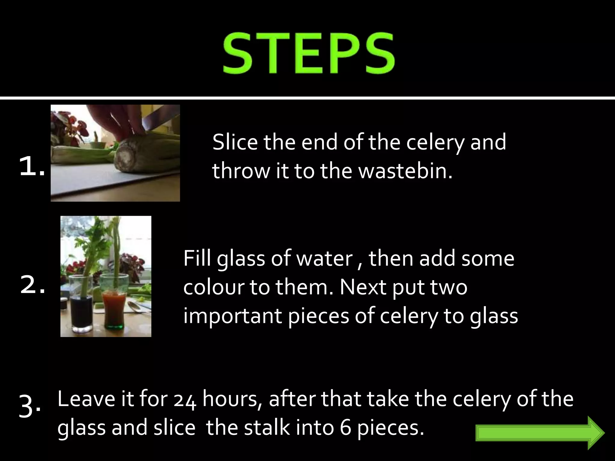 1.
Slice the end of the celery and
throw it to the wastebin.
2.
Fill glass of water , then add some
colour to them. Next put two
important pieces of celery to glass
3. Leave it for 24 hours, after that take the celery of the
glass and slice the stalk into 6 pieces.
 