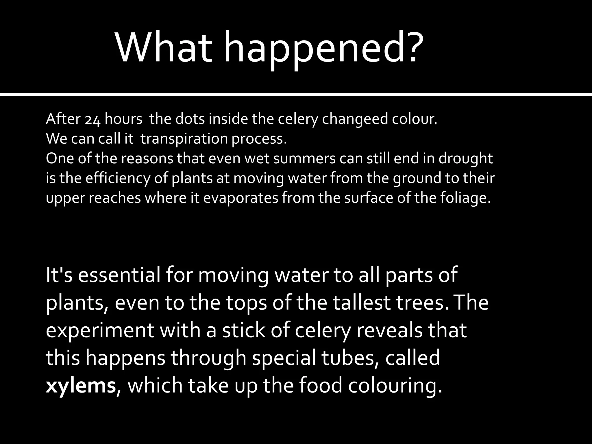 What happened?
After 24 hours the dots inside the celery changeed colour.
We can call it transpiration process.
One of the reasons that even wet summers can still end in drought
is the efficiency of plants at moving water from the ground to their
upper reaches where it evaporates from the surface of the foliage.
It's essential for moving water to all parts of
plants, even to the tops of the tallest trees.The
experiment with a stick of celery reveals that
this happens through special tubes, called
xylems, which take up the food colouring.
 