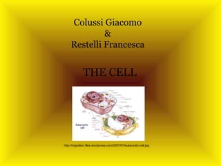 Colussi Giacomo & Restelli Francesca THE CELL http://migration.files.wordpress.com/2007/07/eukaryotic-cell.jpg 