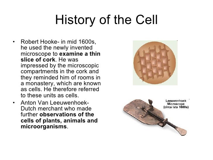 The cell