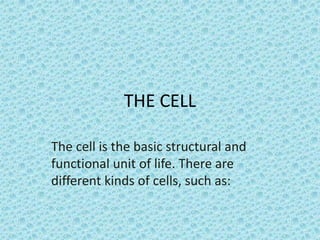 THE CELL

The cell is the basic structural and
functional unit of life. There are
different kinds of cells, such as:
 