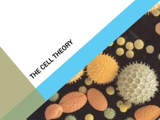 The cell