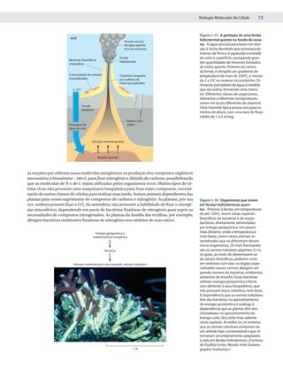 Biologia Molecular da Célula        13


                                                                                                 Figura 1-15 A geologia de uma fenda
                        MAR
                                                                   Nuvem escura                  hidrotermal quente no fundo do ocea-
                                                                   de água quente                no. A água percola para baixo em dire-
                                                                   rica em minerais              ção à rocha derretida que extravasa do
                                                                                                 interior da Terra e é aquecida e enviada
                                                                Fenda                            de volta à superfície, carregando gran-
                       Bactérias litotróﬁcas                    hidrotermal
                       anaeróbias                                                                des quantidades de minerais lixiviados
                                                                                                 da rocha quente. Próximo do centro
                                                                                                 da fenda, é atingido um gradiente de
                       Comunidade de animais                    Chaminé composta                 temperatura de mais de 350ºC, e menos
                       invertebrados                            por sulfetos de                  de 2 a 3ºC no oceano circunvizinho. Os
                                                                metal precipitados
                                                                                                 minerais precipitam da água à medida
                         2–3ºC                                                                   que ela resfria, formando uma chami-
                                                                                                 né. Diferentes classes de organismos,
                                                                                                 tolerantes a diferentes temperaturas,
                                                                                                 vivem em locais diferentes da chaminé.
                                 Fundo                                                           Uma chaminé típica possui uns poucos
                                 oceânico
                                                                                                 metros de altura, com uma taxa de fluxo
                                                                                                 médio de 1 a 2 m/seg.
                                                                    Relevo com
                       Passagem de                                  350ºC
                       água do mar



                                        Solução mineral quente



                                               Basalto quente



as reações que utilizam essas moléculas inorgânicas na produção dos compostos orgânicos
necessários à biossíntese – isto é, para fixar nitrogênio e dióxido de carbono, possibilitando
que as moléculas de N e de C sejam utilizadas pelos organismos vivos. Muitos tipos de cé-
lulas vivas não possuem uma maquinaria bioquímica para fixar esses compostos, necessi-
tando de outras classes de células para realizar essa tarefa. Somos animais dependentes das
plantas para nosso suprimento de compostos de carbono e nitrogênio. As plantas, por sua          Figura 1-16 Organismos que vivem
vez, embora possam fixar o CO2 da atmosfera, não possuem a habilidade de fixar o nitrogê-        em fendas hidrotérmicas quen-
nio atmosférico, dependendo em parte de bactérias fixadoras de nitrogênio para suprir as         tes. Próximo à fenda, em temperaturas
necessidades de compostos nitrogenados. As plantas da família das ervilhas, por exemplo,         de até 120ºC, vivem várias espécies
                                                                                                 litotróficas de bactérias e de arque-
abrigam bactérias simbiontes fixadoras de nitrogênio nos nódulos de suas raízes.
                                                                                                 bactérias, diretamente alimentadas
                                                                                                 por energia geoquímica. Um pouco
                                          Energia geoquímica e                                   mais distante, onde a temperatura é
                                         matéria-prima inorgânica                                mais baixa, vivem vários animais in-
                                                                                                 vertebrados que se alimentam desses
                                                                                                 micro-organismos. Os mais fascinantes
                                                   Bactéria                                      são os vermes tubulares gigantes (2 m),
                                                                                                 os quais, ao invés de alimentarem-se
                                                                                                 de células litotróficas, preferem viver
                          Animais multicelulares, por exemplo, vermes tubulares                  em simbiose com elas: os órgãos espe-
                                                                                                 cializados nesses vermes abrigam um
                                                                                                 grande número de bactérias simbiontes
                                                                                                 oxidantes de enxofre. Essas bactérias
                                                                                                 utilizam energia geoquímica e forne-
                                                                                                 cem alimento a seus hospedeiros, que
                                                                                                 não possuem boca, intestino, nem ânus.
                                                                                                 A dependência que os vermes tubulares
                                                                                                 têm das bactérias no aproveitamento
                                                                                                 de energia geotérmica é análoga à
                                                                                                 dependência que as plantas têm dos
                                                                                                 cloroplastos no aproveitamento da
                                                                                                 energia solar, discutida mais adiante
                                                                                                 neste capítulo. Acredita-se, no entanto,
                                                                                                 que os vermes tubulares evoluíram de
                                                                                                 um animal mais convencional e que se
                                                                                                 tornaram secundariamente adaptados
                                                                                                 à vida em fendas hidrotermais. (Cortesia
                                                                                                 de Dudley Foster, Woods Hole Oceano-
                                                                         1m                      graphic Institution.)
 