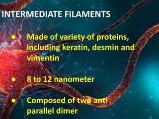INTERMEDIATE FILAMENTS
● Made of variety of proteins,
including keratin, desmin and
vimentin
● 8 to 12 nanometer
● Composed of two anti
parallel dimer
 