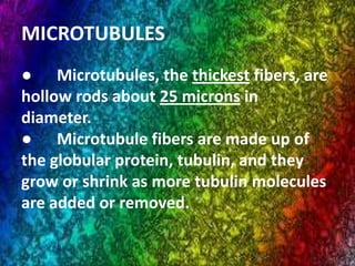 MICROTUBULES
● Microtubules, the thickest fibers, are
hollow rods about 25 microns in
diameter.
● Microtubule fibers are made up of
the globular protein, tubulin, and they
grow or shrink as more tubulin molecules
are added or removed.
 