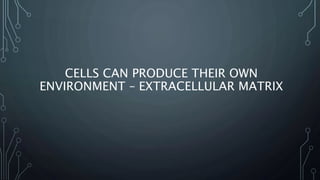 CELLS CAN PRODUCE THEIR OWN
ENVIRONMENT – EXTRACELLULAR MATRIX
 