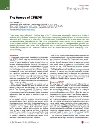 Leading Edge
Perspective
The Heroes of CRISPR
Eric S. Lander1,2,3,*
1Broad Institute of MIT and Harvard, 415 Main Street, Cambridge, MA 02142, USA
2Department of Biology, Massachusetts Institute of Technology, Cambridge, MA 02139, USA
3Department of Systems Biology, Harvard Medical School, Boston, MA 02115, USA
*Correspondence: lander@broadinstitute.org
http://dx.doi.org/10.1016/j.cell.2015.12.041
Three years ago, scientists reported that CRISPR technology can enable precise and efﬁcient
genome editing in living eukaryotic cells. Since then, the method has taken the scientiﬁc community
by storm, with thousands of labs using it for applications from biomedicine to agriculture. Yet, the
preceding 20-year journey—the discovery of a strange microbial repeat sequence; its recognition
as an adaptive immune system; its biological characterization; and its repurposing for genome en-
gineering—remains little known. This Perspective aims to ﬁll in this backstory—the history of ideas
and the stories of pioneers—and draw lessons about the remarkable ecosystem underlying scien-
tiﬁc discovery.
Introduction
It’s hard to recall a revolution that has swept biology more swiftly
than CRISPR. Just 3 years ago, scientists reported that the
CRISPR system—an adaptive immune system used by mi-
crobes to defend themselves against invading viruses by
recording and targeting their DNA sequences—could be repur-
posed into a simple and reliable technique for editing, in living
cells, the genomes of mammals and other organisms. CRISPR
was soon adapted for a vast range of applications—creating
complex animal models of human-inherited diseases and can-
cers; performing genome-wide screens in human cells to
pinpoint the genes underlying biological processes; turning spe-
ciﬁc genes on or off; and genetically modifying plants—and is
being used in thousands of labs worldwide. The prospect that
CRISPR might be used to modify the human germline has stim-
ulated international debate.
If there are molecular biologists left who have not heard of
CRISPR, I have not met them. Yet, if you ask scientists how this
revolution came to pass, they often have no idea. The immunolo-
gist Sir Peter Medawar observed, ‘‘The history of science
bores most scientists stiff’’ (Medawar, 1968). Indeed, scientists
focus relentlessly on the future. Once a fact is ﬁrmly established,
the circuitous path that led to its discovery is seen as a
distraction.
Yet, the human stories behind scientiﬁc advances can teach
us a lot about the miraculous ecosystem that drives biomedical
progress—about the roles of serendipity and planning, of pure
curiosity and practical application, of hypothesis-free and hy-
pothesis-driven science, of individuals and teams, and of fresh
perspectives and deep expertise. Such understanding is impor-
tant for government agencies and foundations that together
invest, in the U.S. alone, more than $40 billion in biomedical
research. It is also important for a general public who often imag-
ines scientists as lone geniuses cloistered in laboratories. And,
for trainees, it is especially valuable to have a realistic picture
of scientiﬁc careers, as both guide and inspiration.
Over the past several months, I have sought to understand the
20-year backstory behind CRISPR, including the history of ideas
and the stories of individuals. This Perspective is based on pub-
lished papers, personal interviews, and other materials—
including rejection letters from journals. At the end, I try to distill
some general lessons. (As background, Figure 1 provides a brief
overview of a type II CRISPR system, the variety that has been
repurposed for genome engineering.)
Most of all, the Perspective describes an inspiring ensemble of
a dozen or so scientists who—with their collaborators and other
contributors whose stories are not elaborated here—discovered
the CRISPR system, unraveled its molecular mechanisms, and
repurposed it as a powerful tool for biological research and
biomedicine. Together, they are the Heroes of CRISPR.
Discovery of CRISPR
The story starts in the Mediterranean port of Santa Pola on
Spain’s Costa Blanca, where the beautiful coast and vast salt
marshes have for centuries attracted vacationers, ﬂamingoes,
and commercial salt producers. (The geography of the story is
shown in Figure 2.) Francisco Mojica, who grew up nearby, fre-
quented those beaches, and it was no surprise that, when he
began his doctoral studies in 1989 at the University of Alicante,
just up the coast, he joined a laboratory working on Haloferax
mediterranei, an archaeal microbe with extreme salt tolerance
that had been isolated from Santa Pola’s marshes. His advisor
had found that the salt concentration of the growth medium ap-
peared to affect the way in which restriction enzymes cut the mi-
crobe’s genome, and Mojica set out to characterize the altered
fragments. In the ﬁrst DNA fragment he examined, Mojica found
a curious structure—multiple copies of a near-perfect, roughly
palindromic, repeated sequence of 30 bases, separated by
spacers of roughly 36 bases—that did not resemble any family
of repeats known in microbes (Mojica et al., 1993).
The 28-year-old graduate student was captivated and
devoted the next decade of his career to unraveling the mystery.
18 Cell 164, January 14, 2016 ª2016 Elsevier Inc.
 