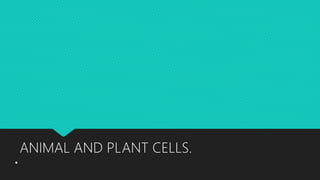 .
ANIMAL AND PLANT CELLS.
 