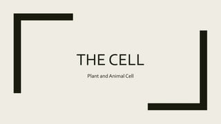 THE CELL
Plant and Animal Cell
 