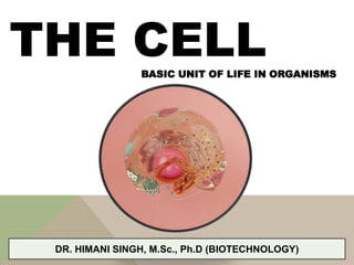 THE CELLBASIC UNIT OF LIFE IN ORGANISMS
DR. HIMANI SINGH, M.Sc., Ph.D (BIOTECHNOLOGY)
 