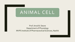 ANIMAL CELL
Prof. Amol B. Deore
Department of Physiology
MVPS Institute of Pharmaceutical Sciences, Nashik
 