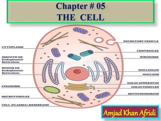 Amjad Khan Afridi
Chapter # 05
THE CELL
 