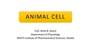 ANIMAL CELL
Prof. Amol B. Deore
Department of Physiology
MVP’S Institute of Pharmaceutical Sciences, Nashik
 