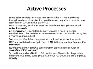 Cell (Cellular level of organization) for B.Pharm Sem 1st.pptx