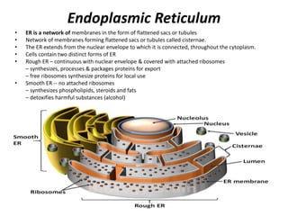 Cell (Cellular level of organization) for B.Pharm Sem 1st.pptx
