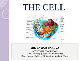 MR. SAGAR PANDYA
ASSISTANT PROFESSOR
M.Sc. Nursing (Child Health Nursing)
Bhagyalaxmi College Of Nursing, Modasa (Guj.)
THE CELL
 
