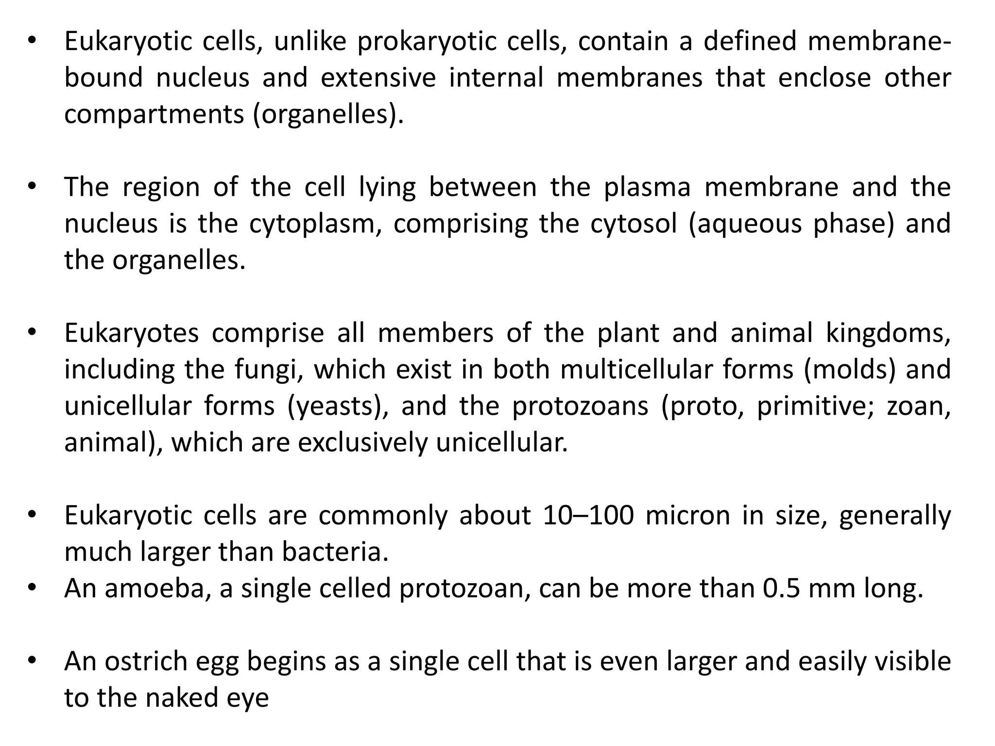 • Eukaryotic cells, unlike prokaryotic cells, contain a defined membrane-
bound nucleus and extensive internal membranes that enclose other
compartments (organelles).
• The region of the cell lying between the plasma membrane and the
nucleus is the cytoplasm, comprising the cytosol (aqueous phase) and
the organelles.
• Eukaryotes comprise all members of the plant and animal kingdoms,
including the fungi, which exist in both multicellular forms (molds) and
unicellular forms (yeasts), and the protozoans (proto, primitive; zoan,
animal), which are exclusively unicellular.
• Eukaryotic cells are commonly about 10–100 micron in size, generally
much larger than bacteria.
• An amoeba, a single celled protozoan, can be more than 0.5 mm long.
• An ostrich egg begins as a single cell that is even larger and easily visible
to the naked eye
 