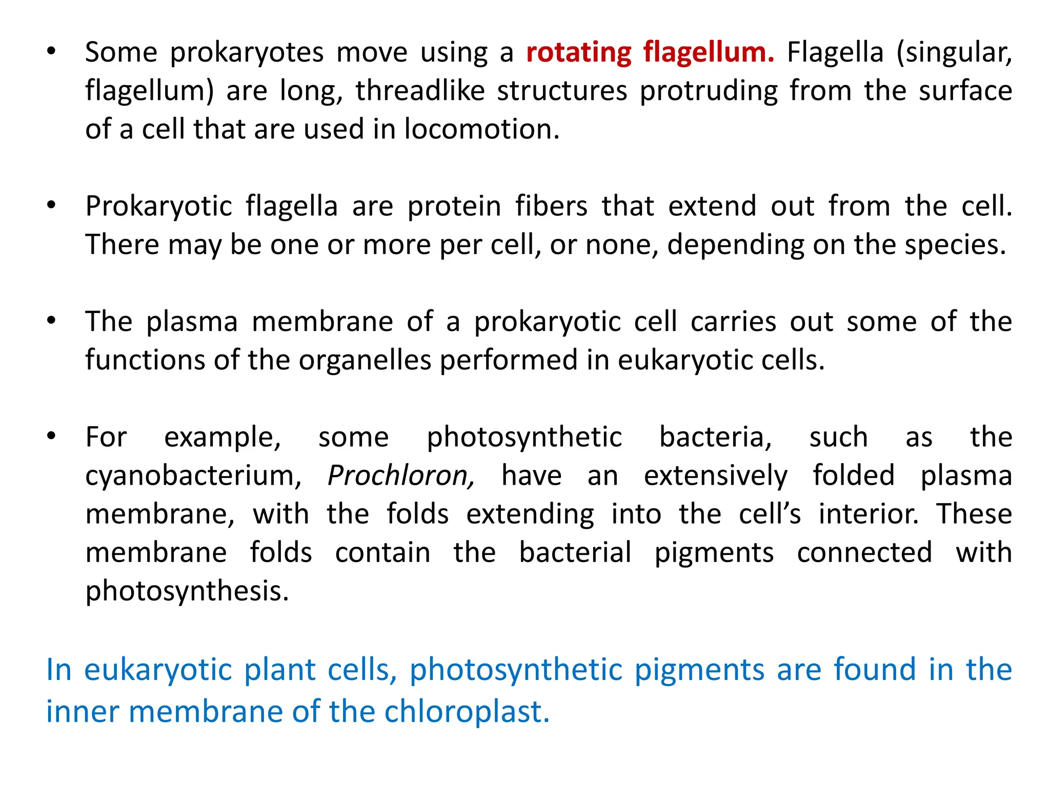 • Some prokaryotes move using a rotating flagellum. Flagella (singular,
flagellum) are long, threadlike structures protruding from the surface
of a cell that are used in locomotion.
• Prokaryotic flagella are protein fibers that extend out from the cell.
There may be one or more per cell, or none, depending on the species.
• The plasma membrane of a prokaryotic cell carries out some of the
functions of the organelles performed in eukaryotic cells.
• For example, some photosynthetic bacteria, such as the
cyanobacterium, Prochloron, have an extensively folded plasma
membrane, with the folds extending into the cell’s interior. These
membrane folds contain the bacterial pigments connected with
photosynthesis.
In eukaryotic plant cells, photosynthetic pigments are found in the
inner membrane of the chloroplast.
 