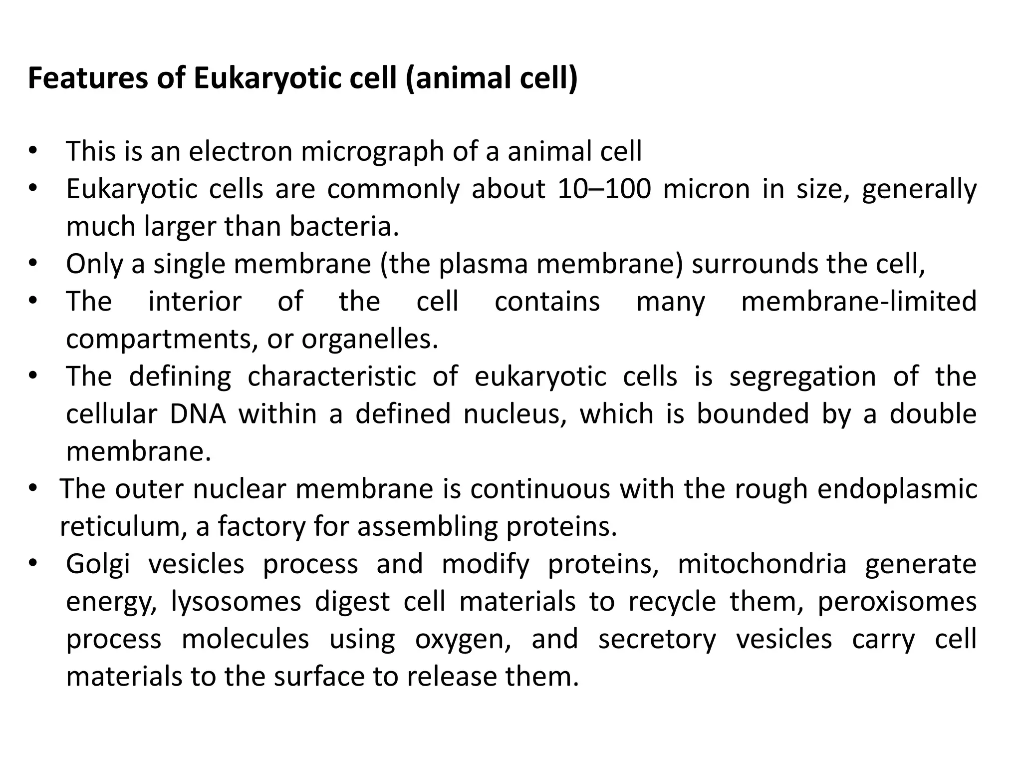 Features of Eukaryotic cell (animal cell)
• This is an electron micrograph of a animal cell
• Eukaryotic cells are commonly about 10–100 micron in size, generally
much larger than bacteria.
• Only a single membrane (the plasma membrane) surrounds the cell,
• The interior of the cell contains many membrane-limited
compartments, or organelles.
• The defining characteristic of eukaryotic cells is segregation of the
cellular DNA within a defined nucleus, which is bounded by a double
membrane.
• The outer nuclear membrane is continuous with the rough endoplasmic
reticulum, a factory for assembling proteins.
• Golgi vesicles process and modify proteins, mitochondria generate
energy, lysosomes digest cell materials to recycle them, peroxisomes
process molecules using oxygen, and secretory vesicles carry cell
materials to the surface to release them.
 