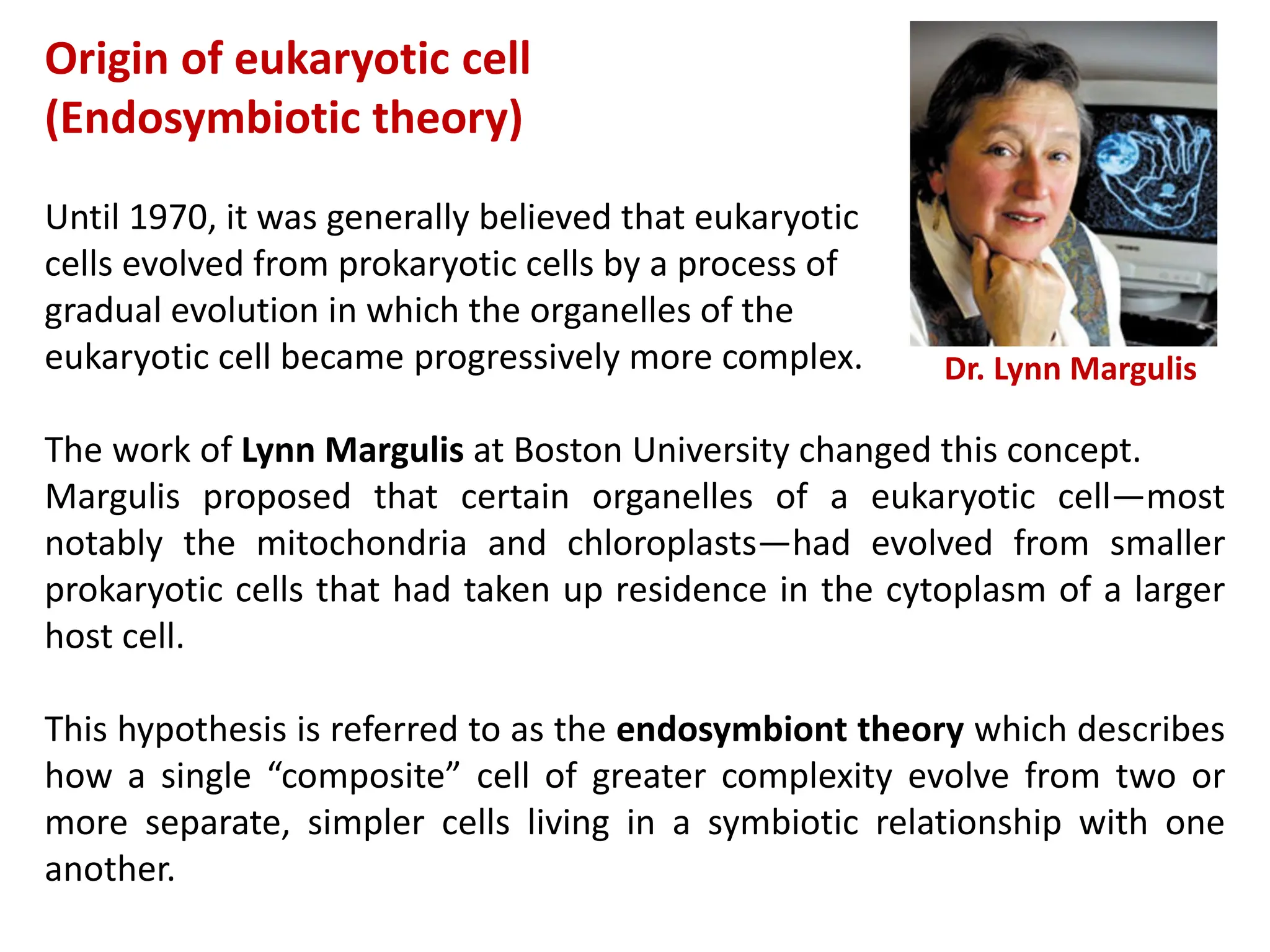 Origin of eukaryotic cell
(Endosymbiotic theory)
Until 1970, it was generally believed that eukaryotic
cells evolved from prokaryotic cells by a process of
gradual evolution in which the organelles of the
eukaryotic cell became progressively more complex.
The work of Lynn Margulis at Boston University changed this concept.
Margulis proposed that certain organelles of a eukaryotic cell—most
notably the mitochondria and chloroplasts—had evolved from smaller
prokaryotic cells that had taken up residence in the cytoplasm of a larger
host cell.
This hypothesis is referred to as the endosymbiont theory which describes
how a single “composite” cell of greater complexity evolve from two or
more separate, simpler cells living in a symbiotic relationship with one
another.
Dr. Lynn Margulis
 