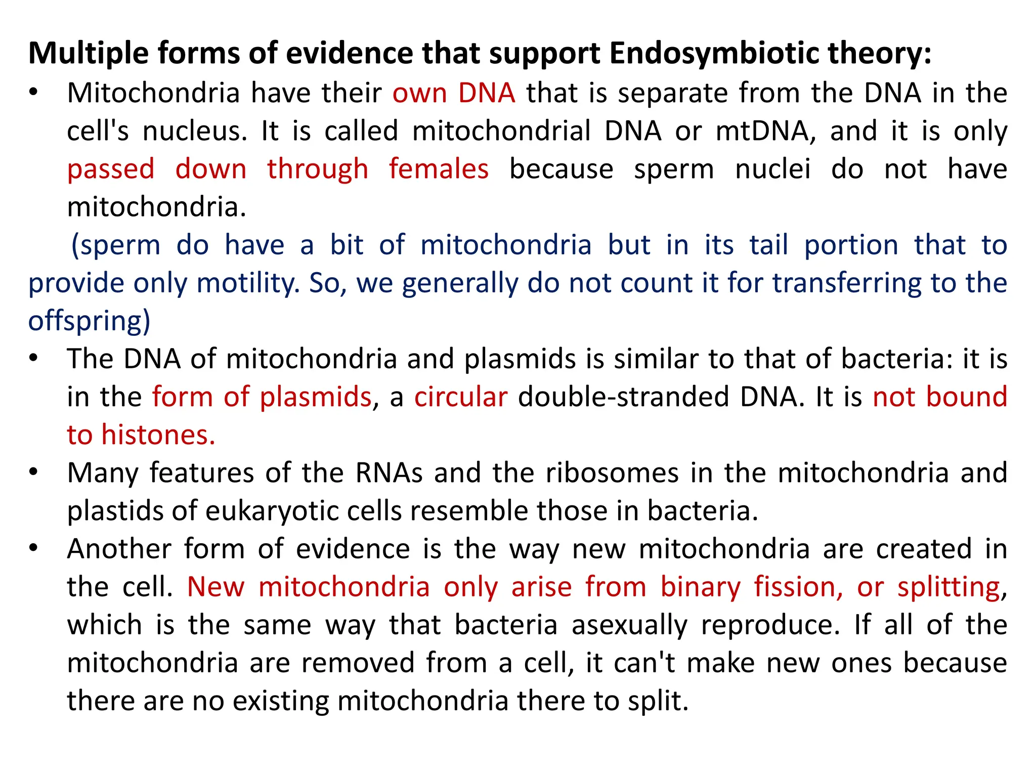 Multiple forms of evidence that support Endosymbiotic theory:
• Mitochondria have their own DNA that is separate from the DNA in the
cell's nucleus. It is called mitochondrial DNA or mtDNA, and it is only
passed down through females because sperm nuclei do not have
mitochondria.
(sperm do have a bit of mitochondria but in its tail portion that to
provide only motility. So, we generally do not count it for transferring to the
offspring)
• The DNA of mitochondria and plasmids is similar to that of bacteria: it is
in the form of plasmids, a circular double-stranded DNA. It is not bound
to histones.
• Many features of the RNAs and the ribosomes in the mitochondria and
plastids of eukaryotic cells resemble those in bacteria.
• Another form of evidence is the way new mitochondria are created in
the cell. New mitochondria only arise from binary fission, or splitting,
which is the same way that bacteria asexually reproduce. If all of the
mitochondria are removed from a cell, it can't make new ones because
there are no existing mitochondria there to split.
 