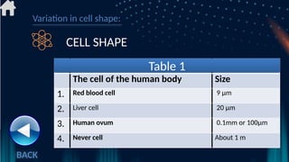 Cell- The structural and functional unit of life.pptx