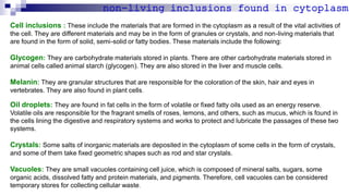 Cellular Inclusions Meaning The Cell - Types of Cells - Cell Organelles -- Cellular Organization ...