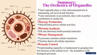 The Cell & Cell Cycle-detailed structure and function of organelles.pptx
