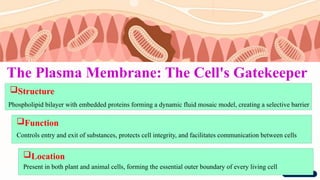 The Cell & Cell Cycle-detailed structure and function of organelles.pptx