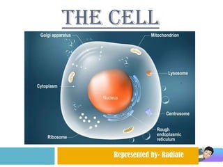 THE CELL
Represented by- Radiate
 