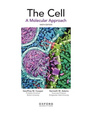 The Cell A Molecular Approach 9th Edition PDF | PDF