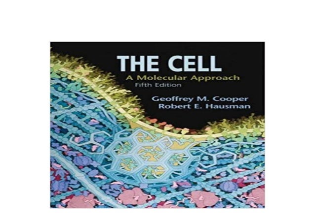 The Cell A Molecular Approach 2nd Edition The Cell A Molecular Approach 2nd Edition