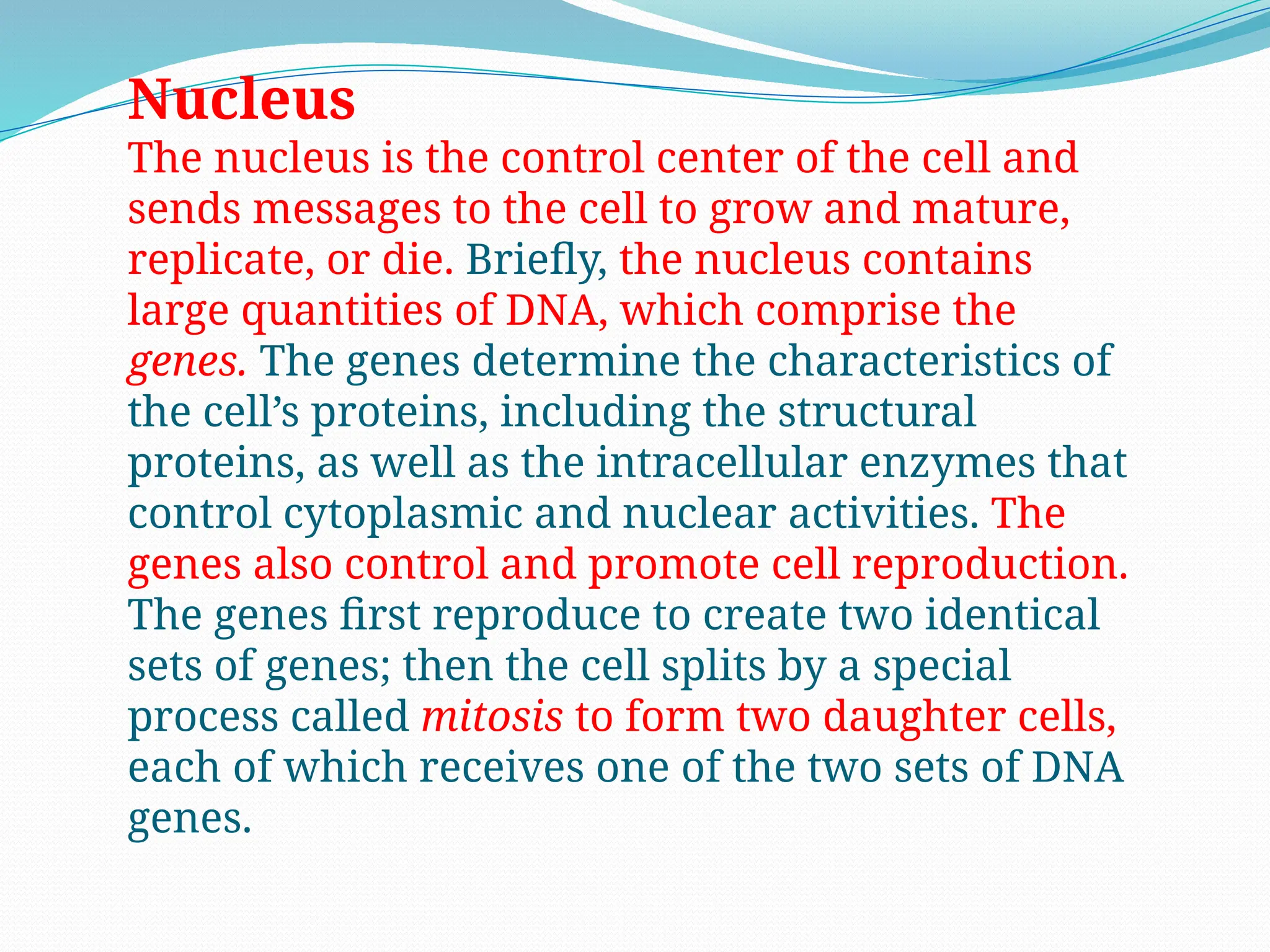 The Cell and Its Functions structurela.pptx