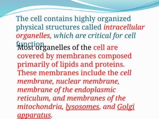 The Cell and Its Functions structurela.pptx