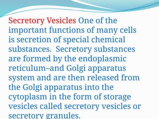 The Cell and Its Functions structurela.pptx