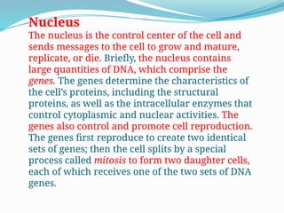 The Cell and Its Functions structurela.pptx