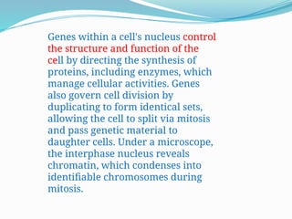 The Cell and Its Functions structurela.pptx