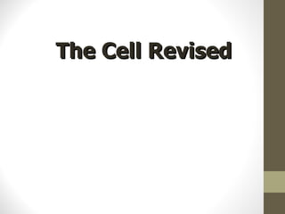 The Cell Revised 