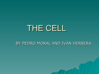 THE CELLTHE CELL
BY PEDRO MORAL AND IVÁN HERRERABY PEDRO MORAL AND IVÁN HERRERA
 