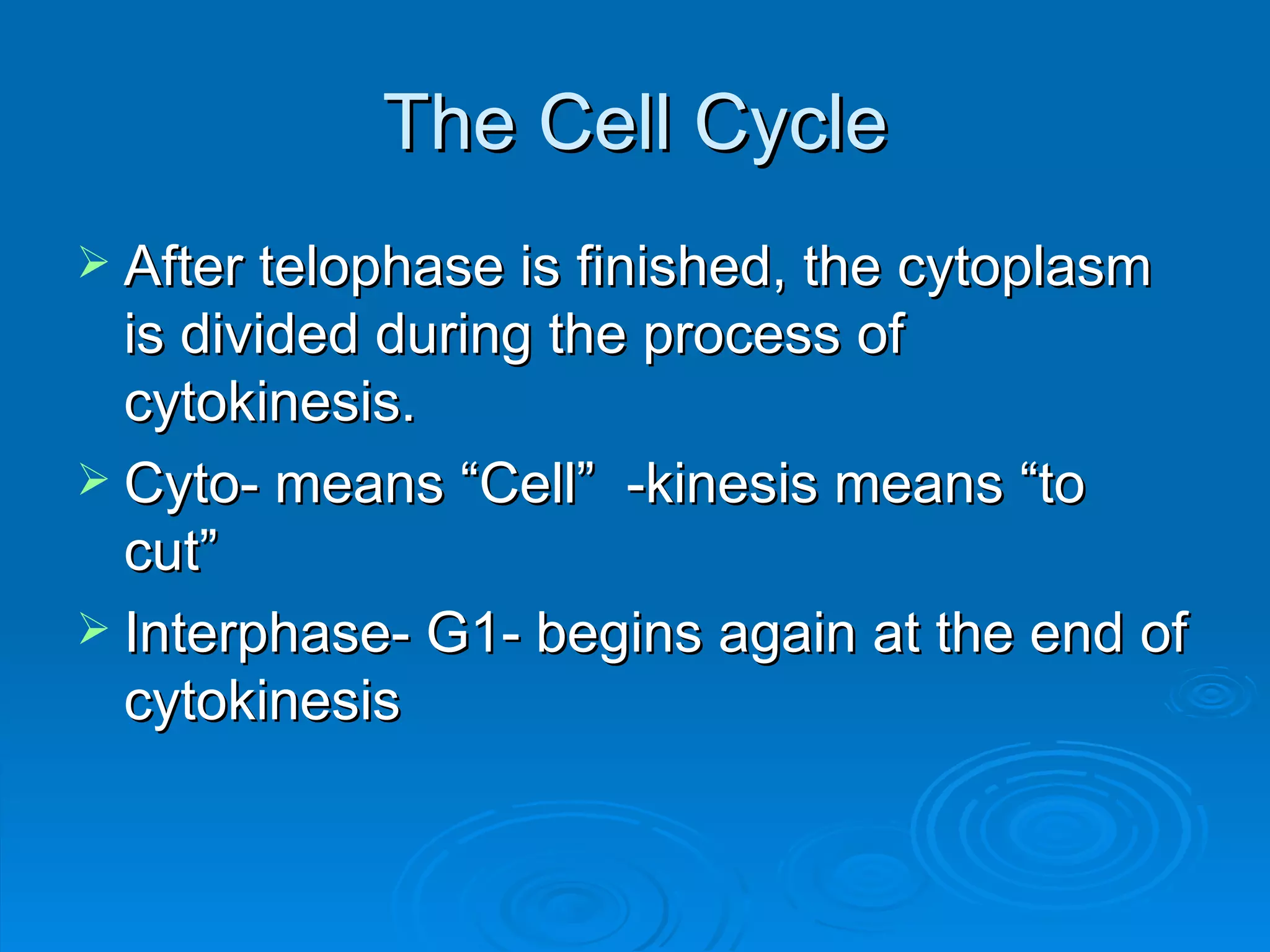 The Cell Cycle After telophase is finished, the cytoplasm is divided during the process of cytokinesis. Cyto- means “Cell”  -kinesis means “to cut” Interphase- G1- begins again at the end of cytokinesis 