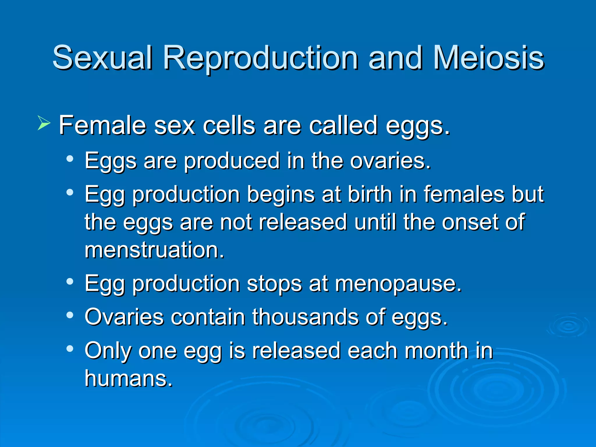 Sexual Reproduction and Meiosis Female sex cells are called eggs. Eggs are produced in the ovaries. Egg production begins at birth in females but the eggs are not released until the onset of menstruation. Egg production stops at menopause. Ovaries contain thousands of eggs. Only one egg is released each month in humans. 