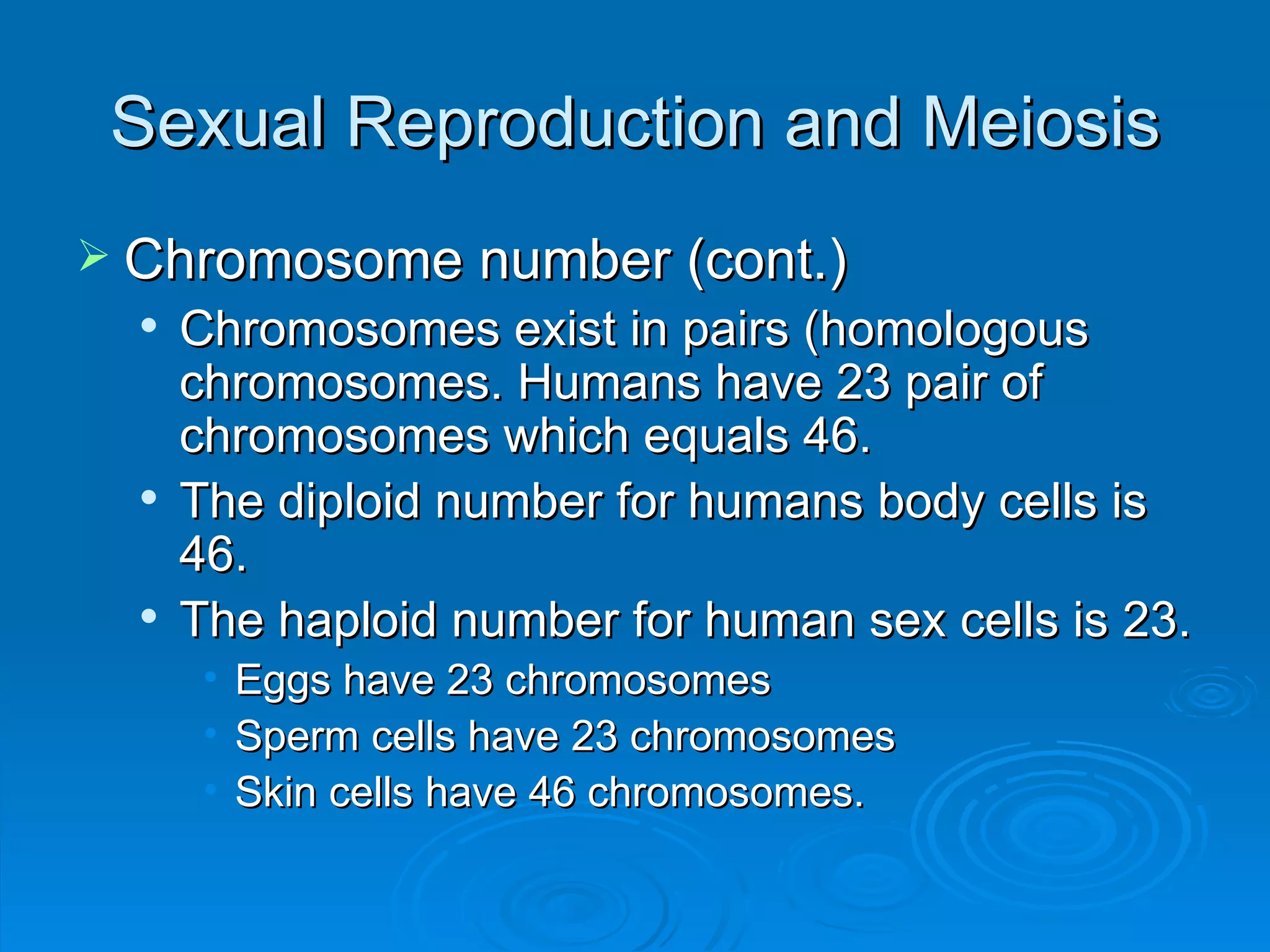 Sexual Reproduction and Meiosis Chromosome number (cont.) Chromosomes exist in pairs (homologous chromosomes. Humans have 23 pair of chromosomes which equals 46. The diploid number for humans body cells is 46.  The haploid number for human sex cells is 23. Eggs have 23 chromosomes Sperm cells have 23 chromosomes Skin cells have 46 chromosomes. 