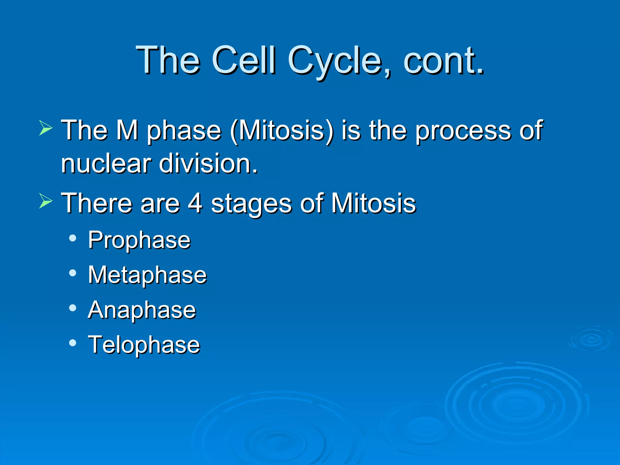 The Cell Cycle, cont. The M phase (Mitosis) is the process of nuclear division. There are 4 stages of Mitosis Prophase Metaphase Anaphase Telophase 