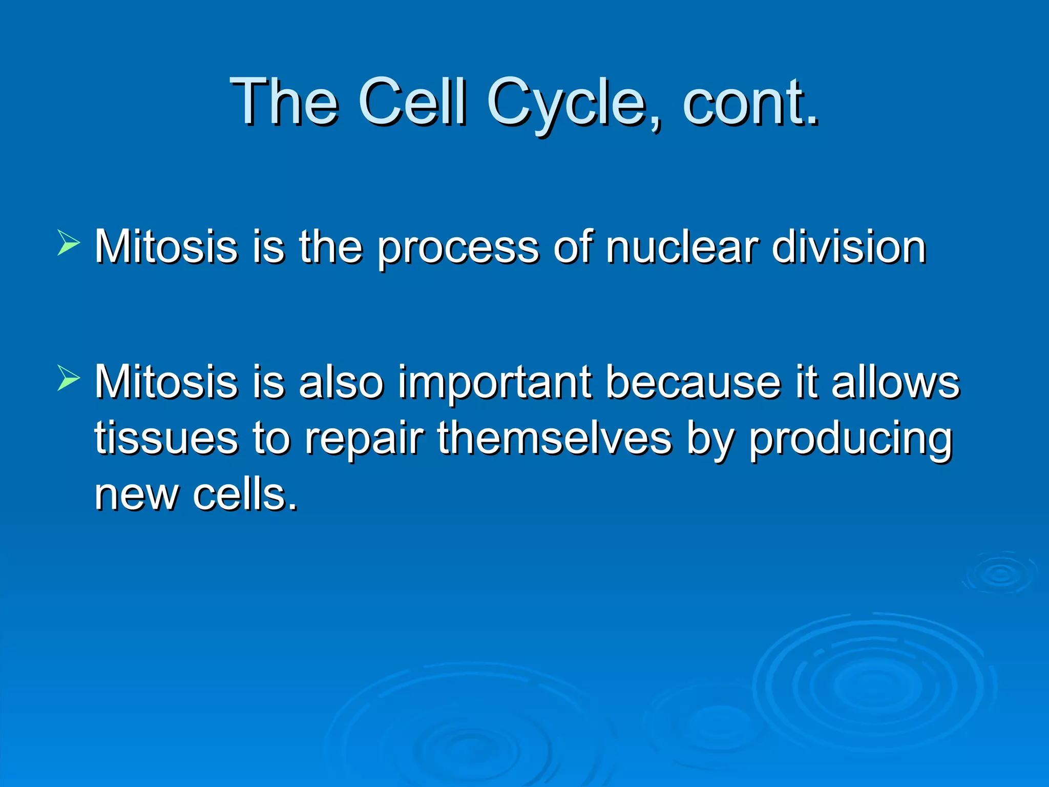The Cell Cycle, cont. Mitosis is the process of nuclear division Mitosis is also important because it allows tissues to repair themselves by producing new cells. 