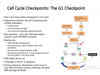 The Cell Cycle and it's regulation -1.pptx
