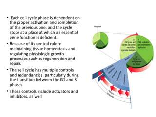 The Cell Cycle and it's regulation -1.pptx