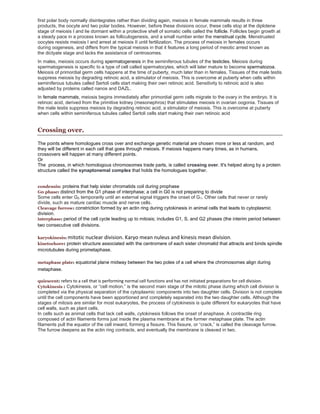 first polar body normally disintegrates rather than dividing again, meiosis in female mammals results in three
products, the oocyte and two polar bodies. However, before these divisions occur, these cells stop at the diplotene
stage of meiosis I and lie dormant within a protective shell of somatic cells called the follicle. Follicles begin growth at
a steady pace in a process known as folliculogenesis, and a small number enter the menstrual cycle. Menstruated
oocytes resists meiosis I and arrest at meiosis II until fertilization. The process of meiosis in females occurs
during oogenesis, and differs from the typical meiosis in that it features a long period of meiotic arrest known as
the dictyate stage and lacks the assistance of centrosomes.
In males, meiosis occurs during spermatogenesis in the seminiferous tubules of the testicles. Meiosis during
spermatogenesis is specific to a type of cell called spermatocytes, which will later mature to become spermatozoa.
Meiosis of primordial germ cells happens at the time of puberty, much later than in females. Tissues of the male testis
suppress meiosis by degrading retinoic acid, a stimulator of meiosis. This is overcome at puberty when cells within
seminiferous tubules called Sertoli cells start making their own retinoic acid. Sensitivity to retinoic acid is also
adjusted by proteins called nanos and DAZL.
In female mammals, meiosis begins immediately after primordial germ cells migrate to the ovary in the embryo. It is
retinoic acid, derived from the primitive kidney (mesonephros) that stimulates meiosis in ovarian oogonia. Tissues of
the male testis suppress meiosis by degrading retinoic acid, a stimulator of meiosis. This is overcome at puberty
when cells within seminiferous tubules called Sertoli cells start making their own retinoic acid
Crossing over.
The points where homologues cross over and exchange genetic material are chosen more or less at random, and
they will be different in each cell that goes through meiosis. If meiosis happens many times, as in humans,
crossovers will happen at many different points.
Or
The process, in which homologous chromosomes trade parts, is called crossing over. It's helped along by a protein
structure called the synaptonemal complex that holds the homologues together.
condensin: proteins that help sister chromatids coil during prophase
G0 phase: distinct from the G1 phase of interphase; a cell in G0 is not preparing to divide
Some cells enter G0 temporarily until an external signal triggers the onset of G1. Other cells that never or rarely
divide, such as mature cardiac muscle and nerve cells.
Cleavage furrow: constriction formed by an actin ring during cytokinesis in animal cells that leads to cytoplasmic
division.
interphase: period of the cell cycle leading up to mitosis; includes G1, S, and G2 phases (the interim period between
two consecutive cell divisions.
karyokinesis: mitotic nuclear division. Karyo mean nuleus and kinesis mean division.
kinetochore: protein structure associated with the centromere of each sister chromatid that attracts and binds spindle
microtubules during prometaphase.
metaphase plate: equatorial plane midway between the two poles of a cell where the chromosomes align during
metaphase.
quiescent: refers to a cell that is performing normal cell functions and has not initiated preparations for cell division.
Cytokinesis : Cytokinesis, or “cell motion,” is the second main stage of the mitotic phase during which cell division is
completed via the physical separation of the cytoplasmic components into two daughter cells. Division is not complete
until the cell components have been apportioned and completely separated into the two daughter cells. Although the
stages of mitosis are similar for most eukaryotes, the process of cytokinesis is quite different for eukaryotes that have
cell walls, such as plant cells.
In cells such as animal cells that lack cell walls, cytokinesis follows the onset of anaphase. A contractile ring
composed of actin filaments forms just inside the plasma membrane at the former metaphase plate. The actin
filaments pull the equator of the cell inward, forming a fissure. This fissure, or “crack,” is called the cleavage furrow.
The furrow deepens as the actin ring contracts, and eventually the membrane is cleaved in two.
 