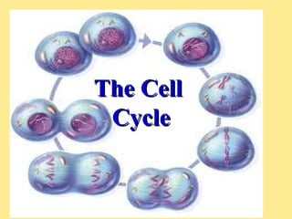 The Cell
The Cell
Cycle
Cycle
 