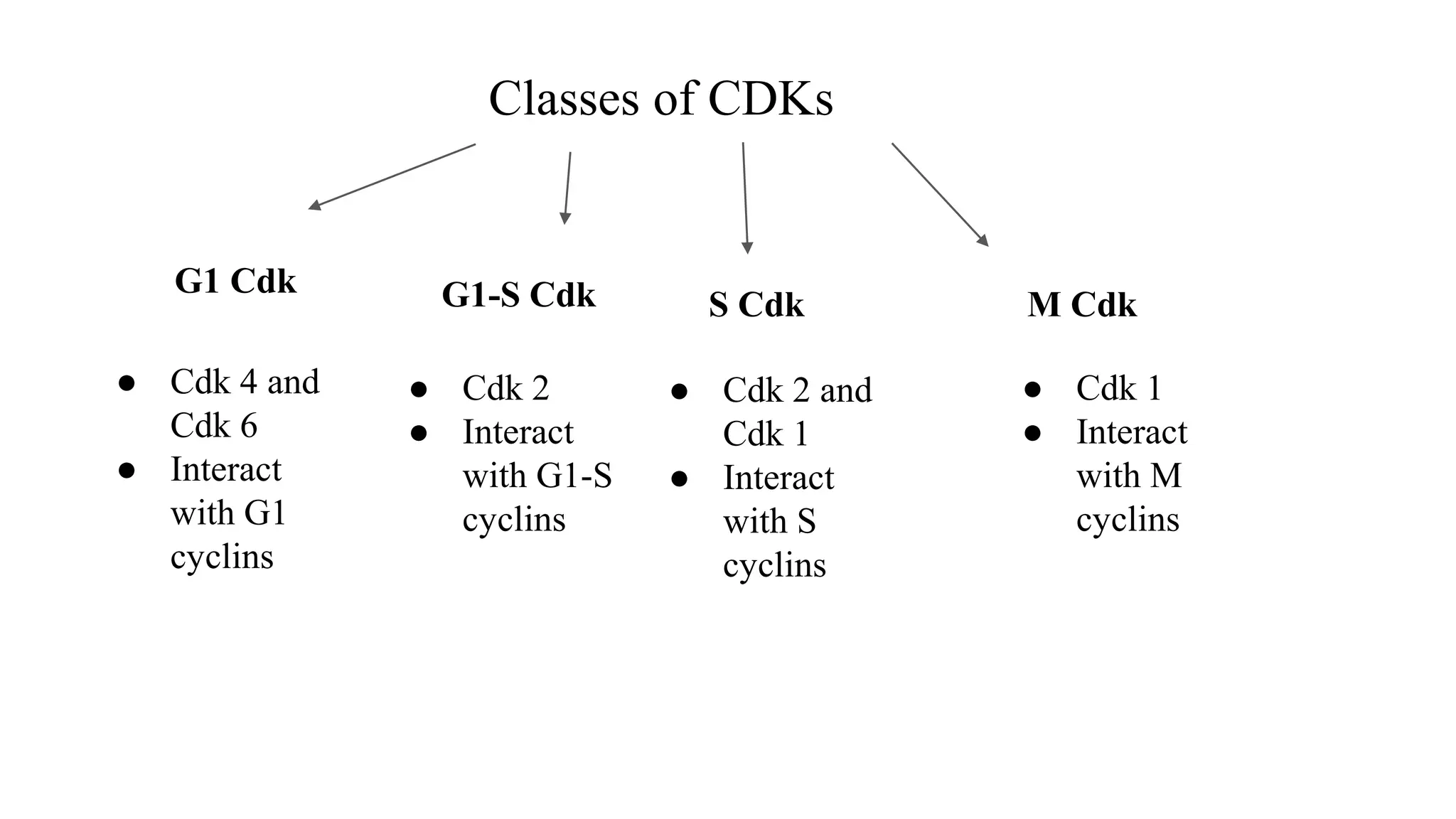 Classes of CDKs
G1 Cdk G1-S Cdk S Cdk M Cdk
● Cdk 4 and
Cdk 6
● Interact
with G1
cyclins
● Cdk 2
● Interact
with G1-S
cyclins
● Cdk 2 and
Cdk 1
● Interact
with S
cyclins
● Cdk 1
● Interact
with M
cyclins
 